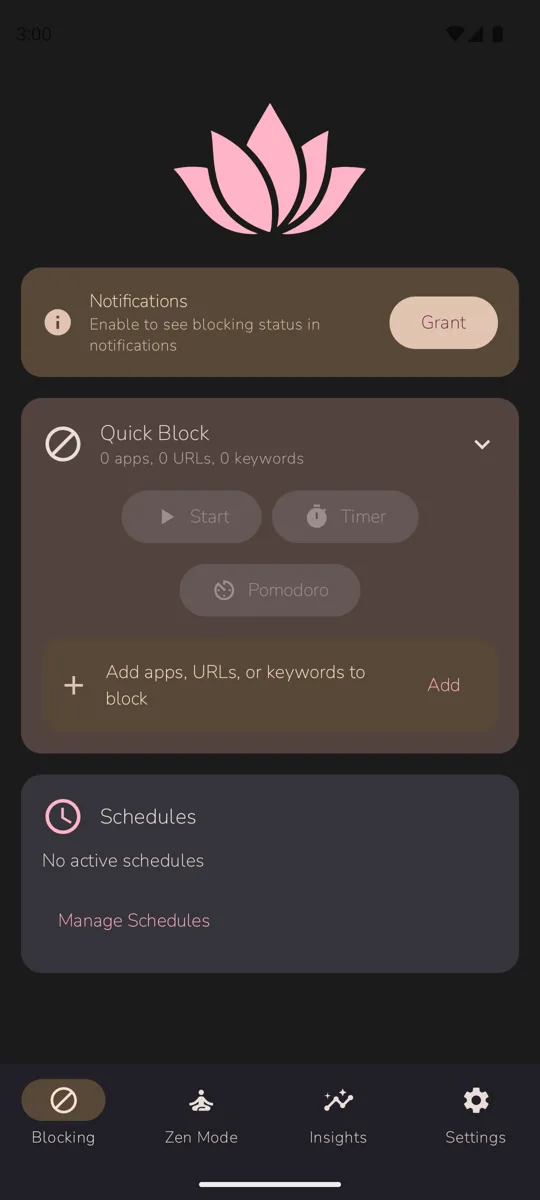 Ainoa main screen with Quick Block and schedules